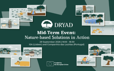 Save the date: DRYAD Mid-term event – Nature-based solutions in action