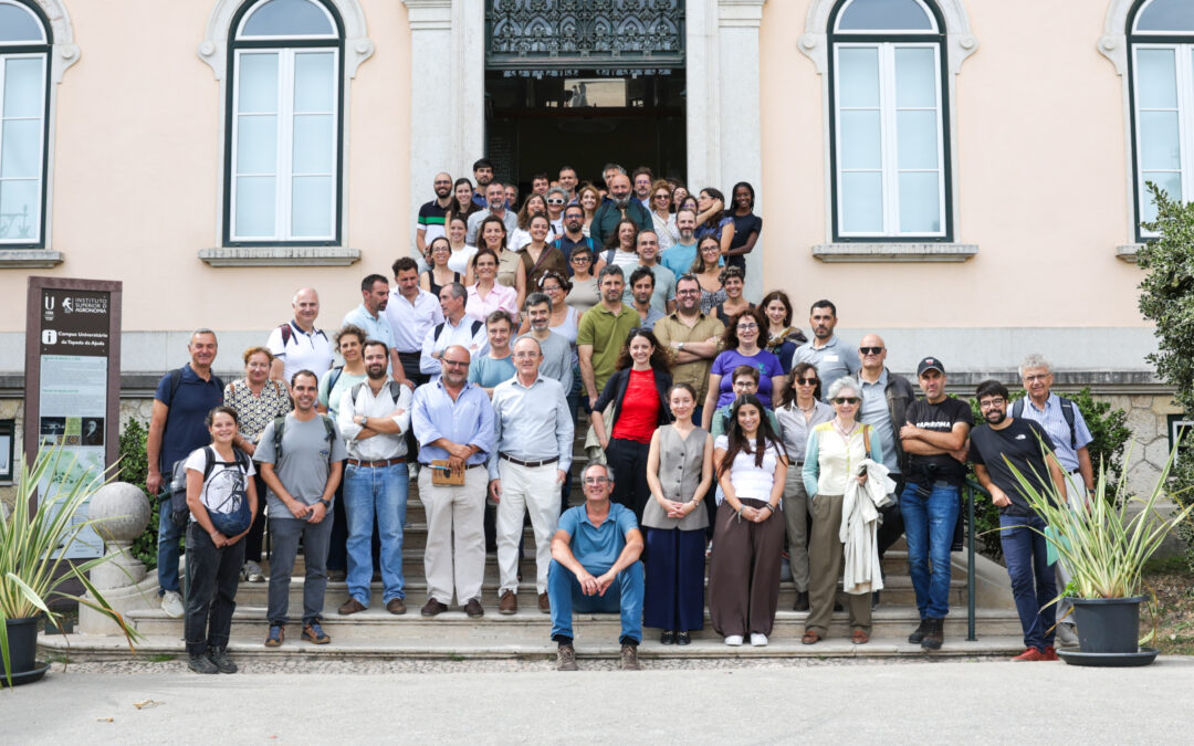 DRYAD Mid-term Event brings together Mediterranean regions to accelerate the uptake of Nature-based Solutions